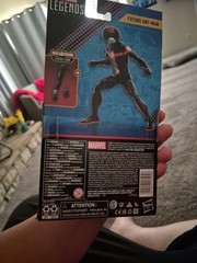 Marvel Legends Future Ant-man BAF