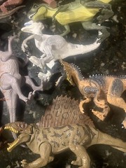 Lot of 13- Made in Indonesia-Dinosaurs With Moveable Arms and Legs 6”and Bigger