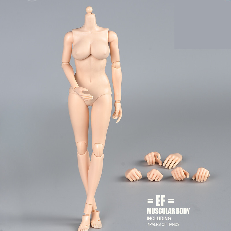 1/6 Female Flexible Joint Body Pale Super Large Breast Chest For 12″Figure Model
