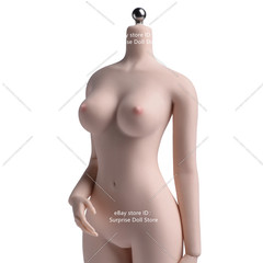 1:6 Female Makeup Seamless Body With detail Pale Skin Medium Breast 12″ Figure