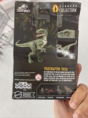 JURASSIC WORLD PARK HAMMOND COLLECTION VELOCIRAPTOR DELTA MATTEL Figure New