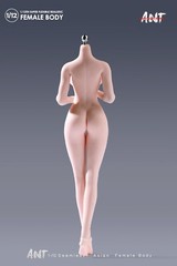 1/12 Female Pale Skin Super Large Breast Plump Hip Seamless Body 6”Figure Toys