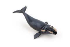 Papo Right Whale Hand Painted Figurine – Heirloom Quality Collectible No. 56057