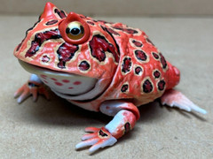Bandai Capsule toys Creature Encyclopedia Advance Argentine horned frog(Red)