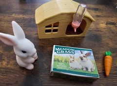 ZURU Mini Brands 🐱 My Mini Pets 🐹 Series 1 Bunny