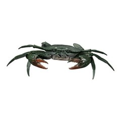 Bandai Premium Capsule Toy Creature Encyclopedia CRAB Figure Set of 4 Complete
