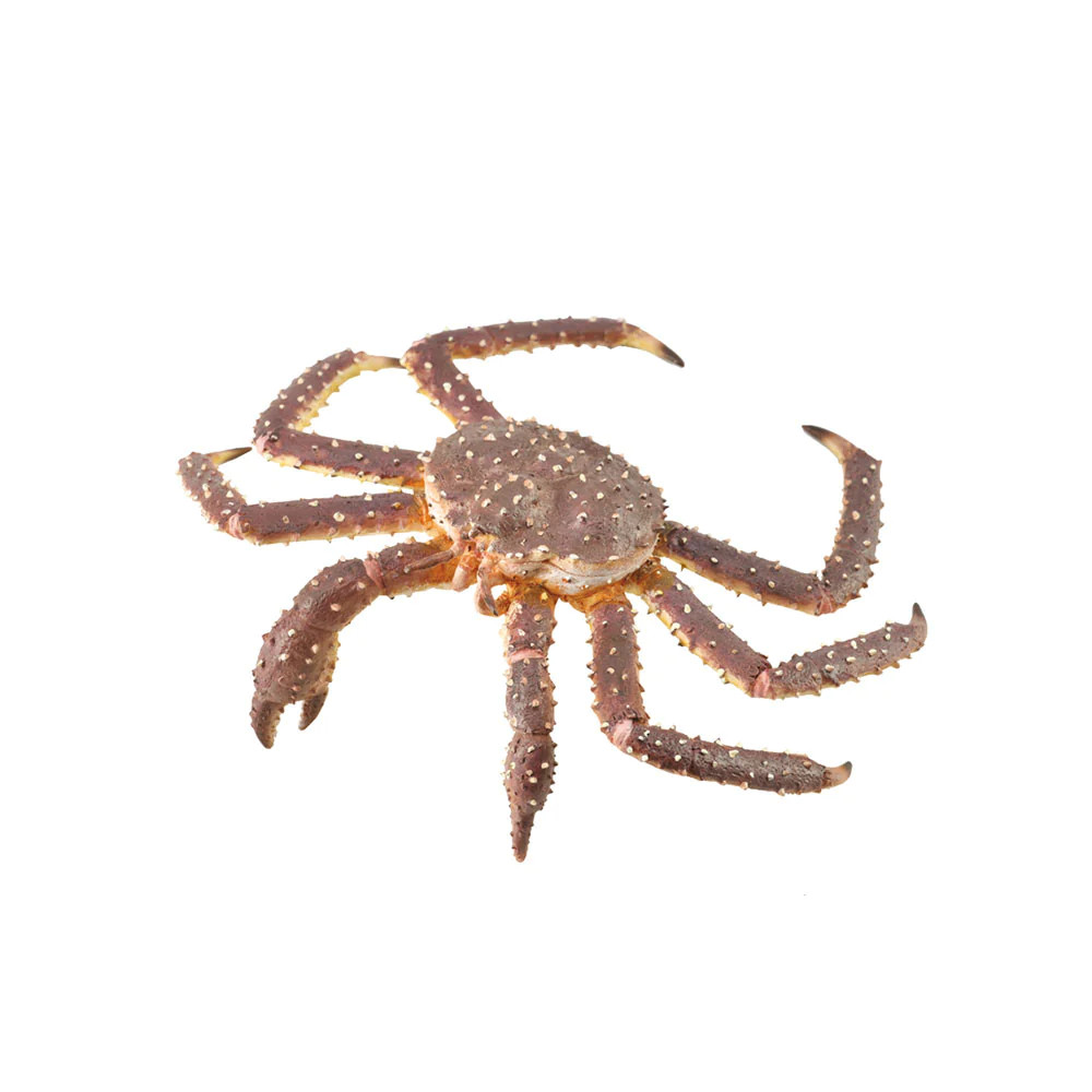 CollectA Realistic Animal Replica King Crab Figure Extra Large Ages 3+ and Up
