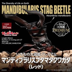 Living Creatures Encyclopedia Premium: Mandibularis Futamatakuwagata