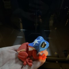 Puerto Rican frog, coquí 3D printed/ tree Frog collectible with hidden Mag.