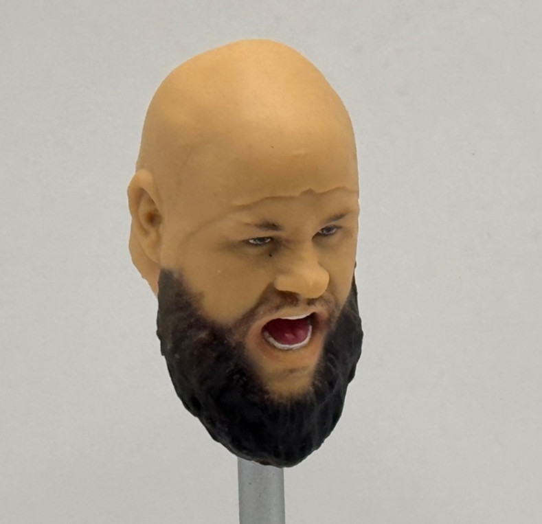 WWE Erik Viking Raiders Accessory Mattel Figure Clothes 1/12 K5