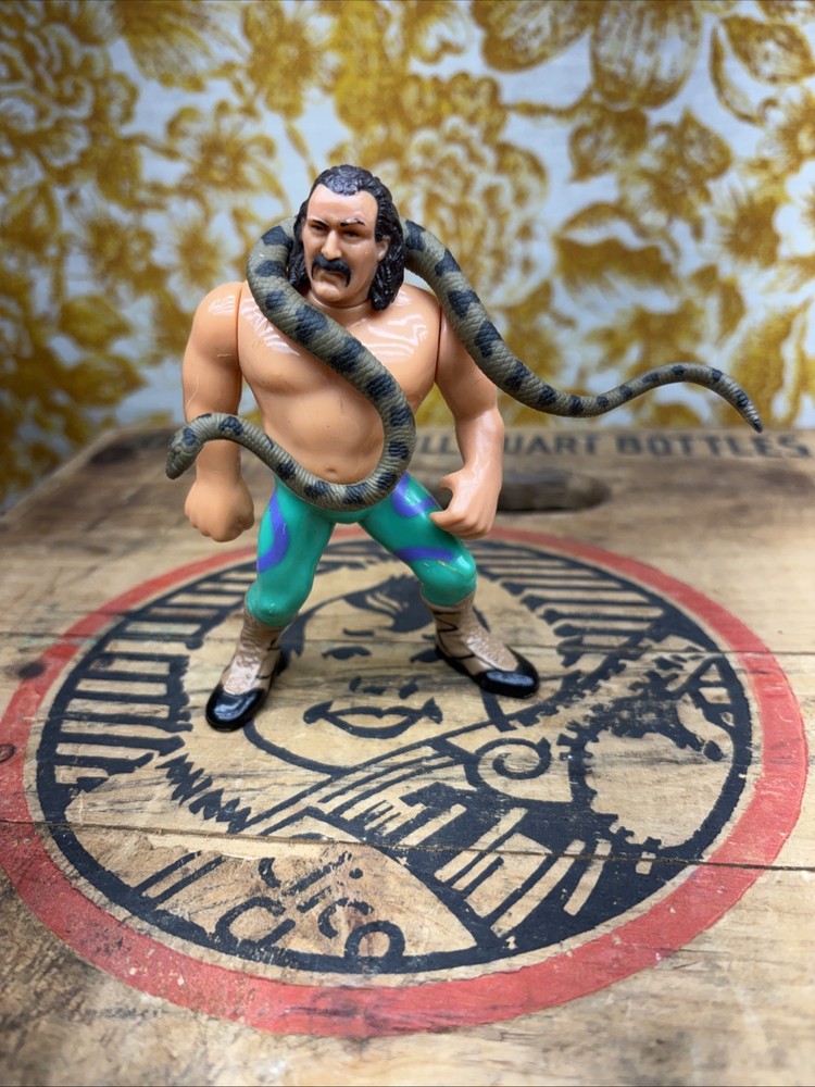 WWF Jake the Snake Roberts with Damien Hasbro Series 1 Figure WWE 1990