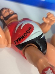 WWF Hasbro Natural Disasters – WWE Mattel LJN Titan Sports Vintage Wrestling