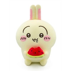 X11 Chiikawa Watermelon Series Plush Doll Hachiware Stuffed Toy Pillow Cos