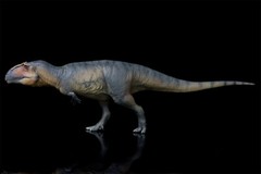 PNSO 1/35 Giganotosaurus 17 Model Prehistoric Dinosaur Animal Figure Gift Toys