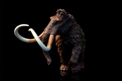 TNG Mammonteus Primigenius Model Elephant Animal Figure Toys Decor Xmas Gift