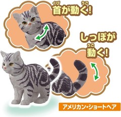 Takara Tomy Animal Set Dog and Cat Action Mini Figures Model Cute Toys