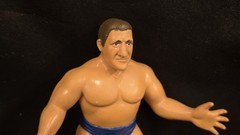 13 Pics Vintage Unrestored WWF LJN Bruno Sammartino Wrestling Superstars WWE