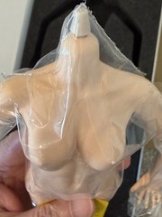 1/6 12″ Hot Stuff New Gen Edation Seamless Female Body 2.0 Silicon Action Figure