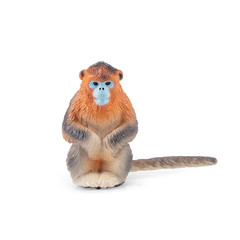 Toymany Golden Snub-Nosed Monkey Figurine Realistic Wildlife Animal Model