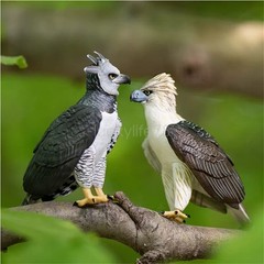 Wild Animal Raptor Series Philippine Eagle American Harpy Eagle Decoration Model