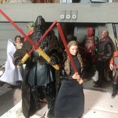 Star Wars Black Series Lot 2 Custom Sith Figures Leia Starkiller, Darth Mad Klaw