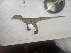 Nanmu Studio Smart Series White Queen Velociraptor