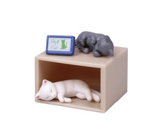 Book Shelf Cat Mini Mystery Japanese Blind Box Gacha 1 Random Capsule Figure