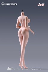ANT N306 1:12 Female Seamless Body Pale Large Bust Plump Hip 6″ Action Figure