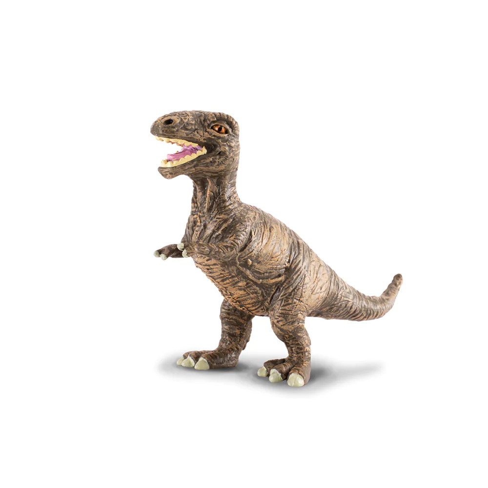 CollectA Baby Tyrannosaurus Rex Dinosaur Figure Small Ages 3 Years and Up