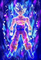 Bandai S.H.Figuarts Dragon Ball Super Son Goku Ultra Instinct Toyotarou Booklet