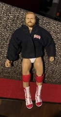 Wwe Arn Anderson Mattel Elite Wrestling Figure Toy Wcw Brain Busters Custom