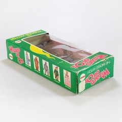 1974 Mego Wizard of Oz Vintage Action Figure in Box – The Wicked Witch