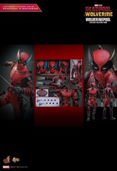 READY NEW AUTHENTIC HOT TOYS DEADPOOL & WOLVERINE WOLVERINEPOOL MMS857 CONCEPT