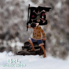 BW-MO-LF-SET: 1/12 Drum Island Luffy’s Jacket & Pirate Flag Set