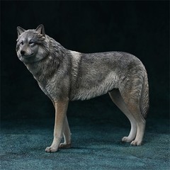 JXK 1/6 Arctic Wolf Model Canis Lupus Arctos Simulated Animal Model Ornament Toy