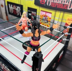 Lady Maravilla Legends of Lucha Libre Premium 1:12 Scale 6″ Action Figure