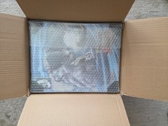 ICONIQ STUDIOS BATTLE RYU STREET FIGHTER 5 ACTION FIGURE 1/6 NEW/SEALED