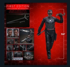 Hot Toys Blade 1st Edition MMS791B 1/6 Scale 12″ 9139532 Deadpool & Wolverine