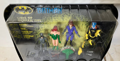 Batman Animated Girls of Gotham City 4 Figures Batgirl Talia Catwoman Poison Ivy