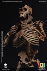 101TOYS ES003A 1/12 Original color CHIMPANZEE SKELETON FRAME BOBY Figure Toys