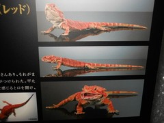 Bandai The Diversity of Life on Earth Premium Central Bearded Dragon Figure Red