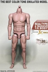1/6 Scale Male Muscular Figure body for Worldbox Hot Toys TTM20 Ganghood 1.0