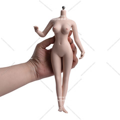 1:6 Female Makeup Seamless Body With detail Pale Skin Medium Breast 12″ Figure