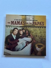 Mini Brands REALLY WORKS Vinyl Micro Records *You Pick*