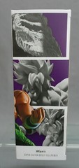 S.H. Figuarts Super Saiyan Broly Full Power Dragon Ball Super BANDAI NEW (C1)