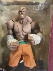 Sota Toys Street Fighter Rotocast Series SAGAT 10″ Action Figure Limited Edition
