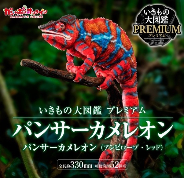 Living Creatures Encyclopedia Premium Panther Chameleon Ambilobe red Japan