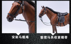 1/6 Scale Germany Hannover Horse Hanoverian Animal Model Figure Gifts Christmas