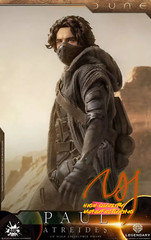 IN STOCK New AUG TOYS DL003 1/6 Paul Atreides Chalamet 12″ Action Figure