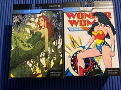 Wonder Woman And Platinum Poison Ivy, McFarlane Dc Multiverse, Platinum Edition
